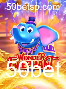 Desvendando o Mundo de WonderElephant
